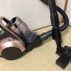 【商談中】【期間限定値下げ】11/15まで！掃除機　パナソニック...