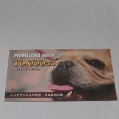 PRIMELAND ドッグランもろやま　回数券　未使用　7500円