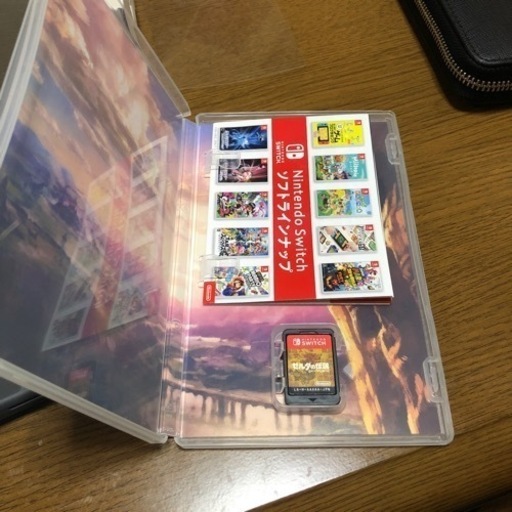 Switch lite ゼルダの伝説 ブレスオブザワイルド　セット