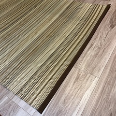 ござ　2枚セット　ゴザ　シート　敷物　夏
