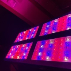 本格派！植物育成LEDライト　グローライトの画像