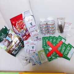 腎臓 猫 フード セット