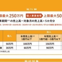 行政書士が無料で事前確認　国の給付金　平均約74万円支給されてます　個人事業主、フリーランス、業種問わず対象 - 鳥取市