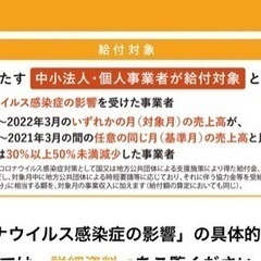 行政書士が無料で事前確認　国の給付金　平均約74万円支給されてます　個人事業主、フリーランス、業種問わず対象 - 手伝いたい/助けたい