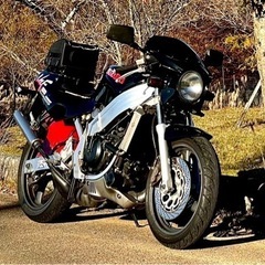 絶版車！自賠責付き♪スズキ　ウルフ250 VJ21A