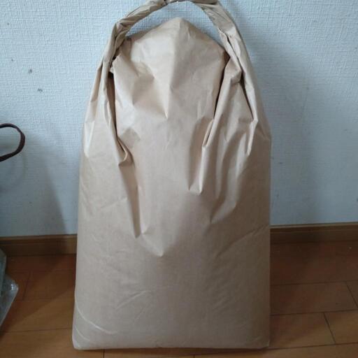 令和３年度産　ヒノヒカリ