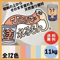 漆喰　DIY ひとりで塗れるもん（アリスブルーグレー）の画像