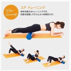 新品 · 未使用  プリマソーレ(Primasole) エクササイズポール の画像