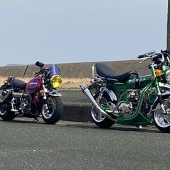 🏍🛵✨✨4MINI⭐️仲間✨✨🛵🏍 - 豊川市