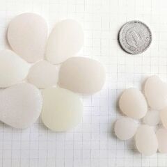 和菓子シーグラス（Ａランク 14個セット）