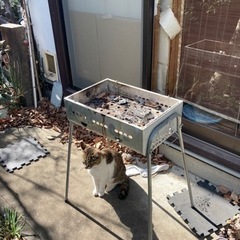 バーベキューコンロ
