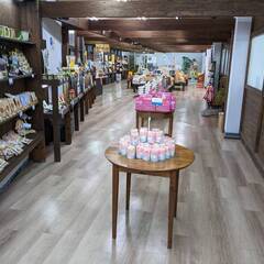 「中野うどん学校琴平校」売店スタッフ募集の画像