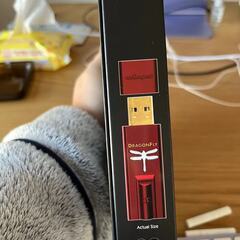 Audioquest Dragonfly Red 新品の画像