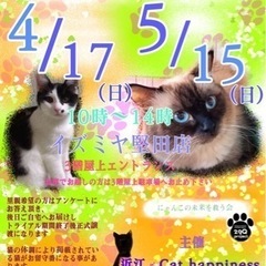 保護猫の譲渡会　4/17(日) 5/15(日)