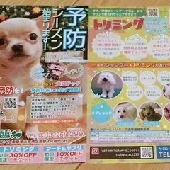 動物病院での　宿泊、トリミング、フード等　割引クーポン