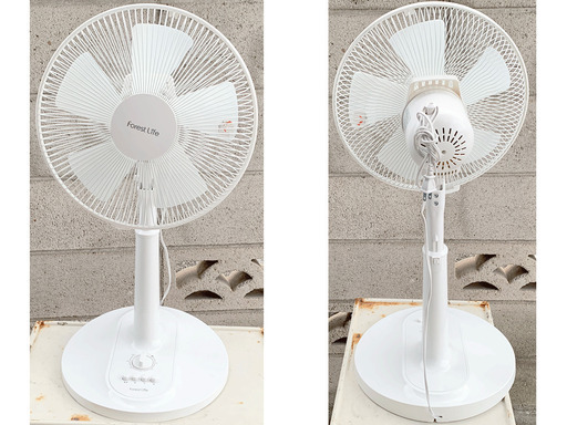 フィフティ 扇風機 FLE-T308CZ 2019年製を、直接引き取りに来て頂ける方に、1,000円でお譲りいたします。