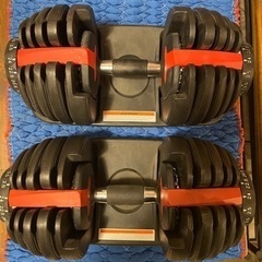 [売約済み]可変式ダンベル　ペア　2点セット　セット　ダンベル　筋トレ　トレーニング　24kg ×2 検　40kg 48kg 50kg ダイエット　プロテイン　ジム　運動　エクササイズ　ホームジム　motions 4WD 重さ調整　調整の画像