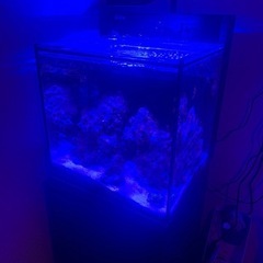 Redsea maxnano一式Tetra cpxクーラーとライ...