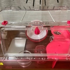 ハムスターグッズ★一式(新品ご飯付き)の画像