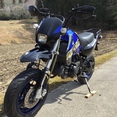 カワサキ　KSR110 Kawasaki  KL110A  程度良好！の画像