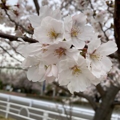 ママ友募集中☺️