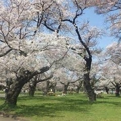 4月10日お絵描きスケッチ会参加者募集