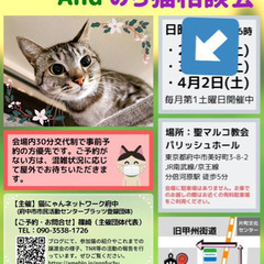 猫にゃんネットワーク府中★譲渡会andのらねこ相談会