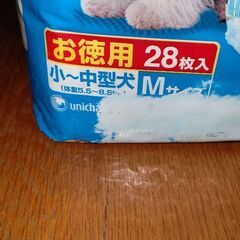 🐕犬用オムツ🐕の画像