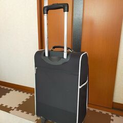 購入者決定　キャリーバッグの画像
