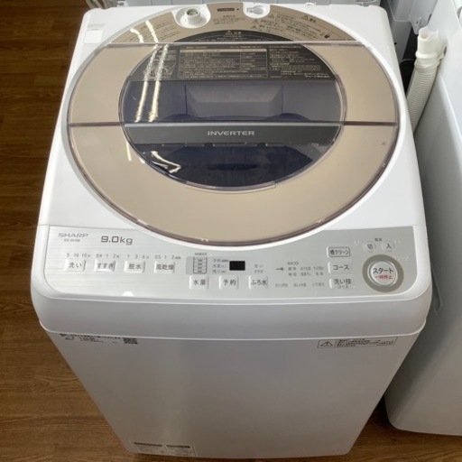 安心の6ヶ月保証付！！【SHARP (全自動洗濯機)】取りに来れる方限定！売ります！