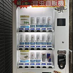 【昆虫自販機設置場所大募集】今流行りの食用昆虫！自販機を設置出来...
