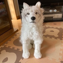 ぬいぐるみ　おおかみ　狼　オオカミ　那須どうぶつ王国