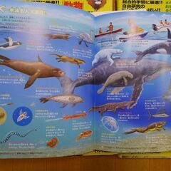 ★美品★ 図鑑『小学館の図鑑NEO』他10冊セットの画像