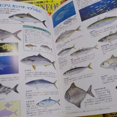 ★美品★ 図鑑『小学館の図鑑NEO』他10冊セットの画像