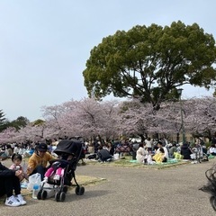 鶴舞公園にいます