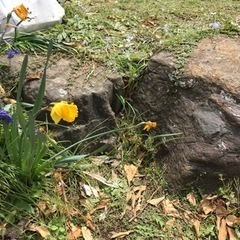 庭石 特大 御影石 取りに来てくれる方のみ