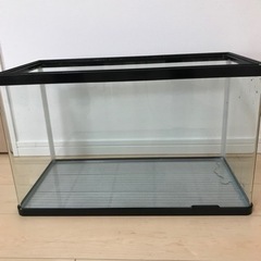 60センチ　水槽