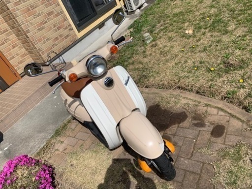 SUZUKI  Verde(ヴェルデ)