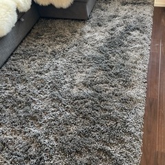 グレー、毛足長めカーペット