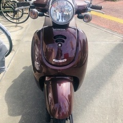 ホンダ　ジョルノ　ブラウン