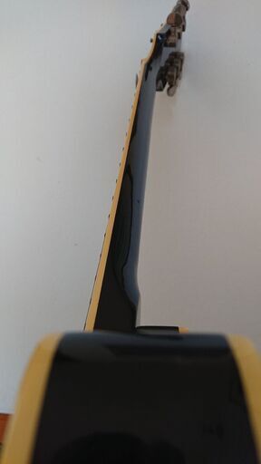 ? ?Greco (グレコ)レスポールタイプ ✨ヴィンテージEG480Bk       