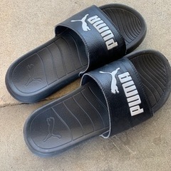 PUMA★ベナッシ★25cm
