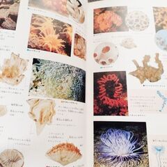 値下げ　原色ワイド学習図鑑セットの画像