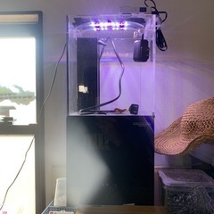 ニッソー　オーバーフロー水槽　めだか　グッピー　テトラ　金魚