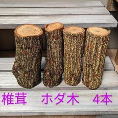 椎茸　ホダ木　4本セット