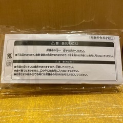 【非売品・新品】JAL 飛行機 エアバス 模型 プラモデルの画像