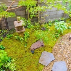 造園工事の雑用などの画像