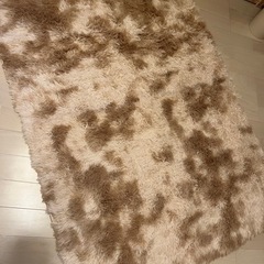 ラグマットの画像