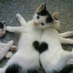 和太鼓で健康的に美しく♡（ビューティーコース）