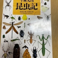 今森光彦　昆虫記　福音館書店